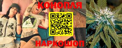 мяу мяу мука Заводоуковск