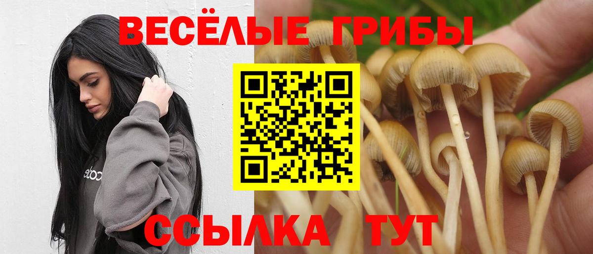 Ликино-Дулёво  Галлюциногенные грибы Cubensis  Вход с VPN 